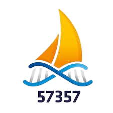 Client 21